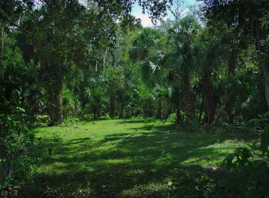 Charla: construir sin destruir la selva